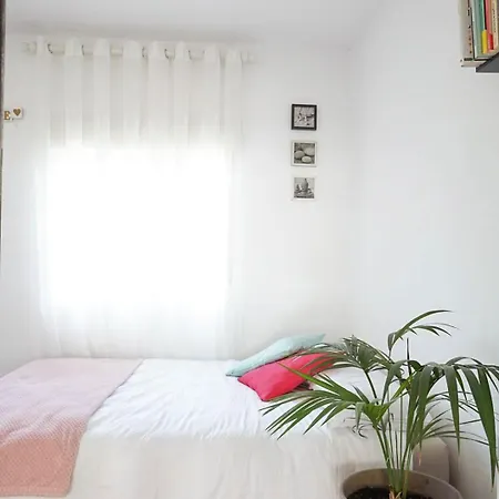 Spacious And Bright House Next To The *